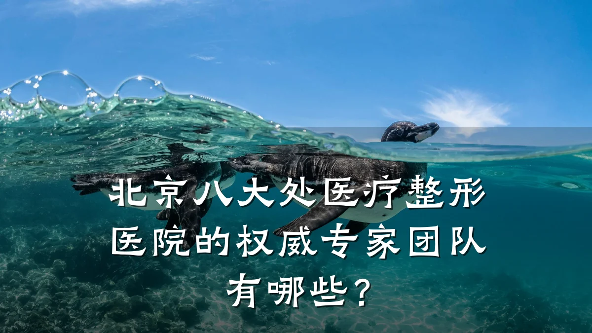 北京八大处医疗整形医院的权威专家团队有哪些？