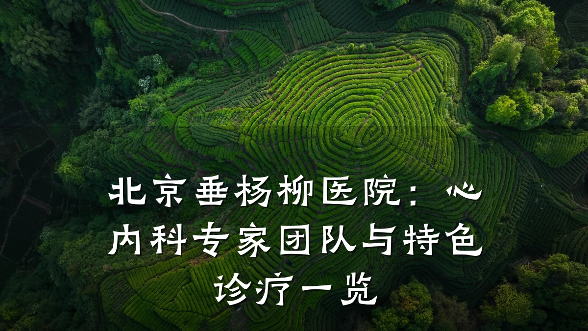 北京垂杨柳医院:心内科专家团队与特色诊疗一览