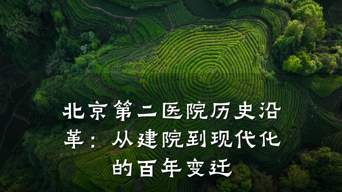北京第二医院历史沿革：从建院到现代化的百年变迁