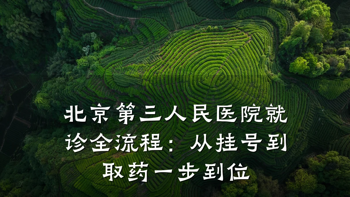 北京第三人民医院就诊全流程：从挂号到取药一步到位