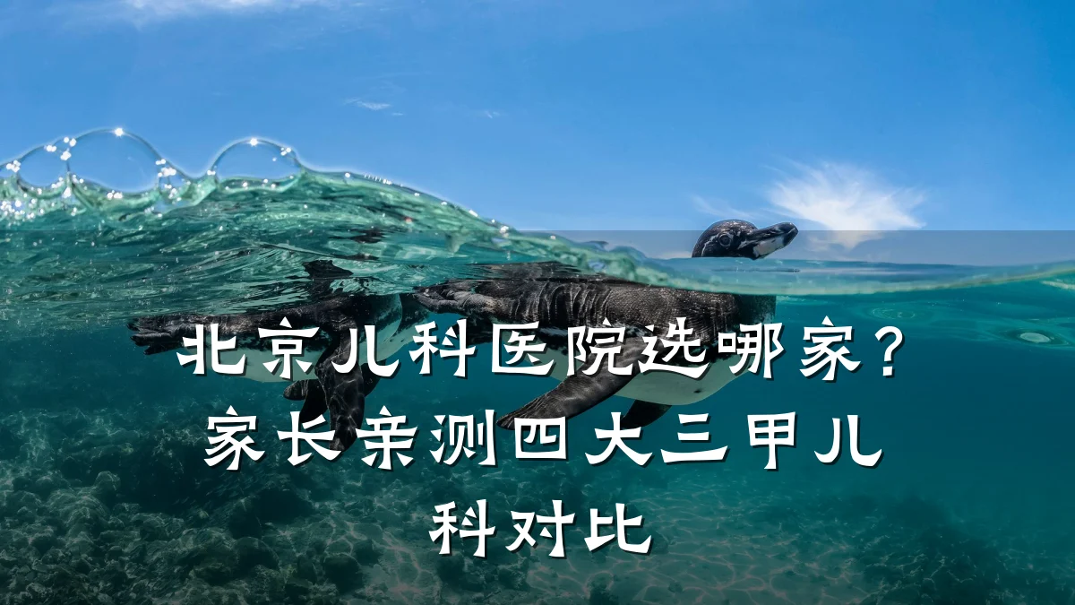 北京儿科医院选哪家?家长亲测四大三甲儿科对比