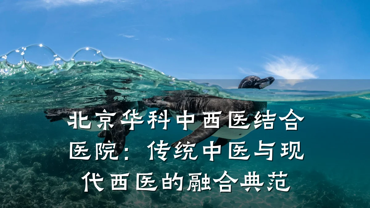 北京华科中西医结合医院:传统中医与现代西医的融合典范