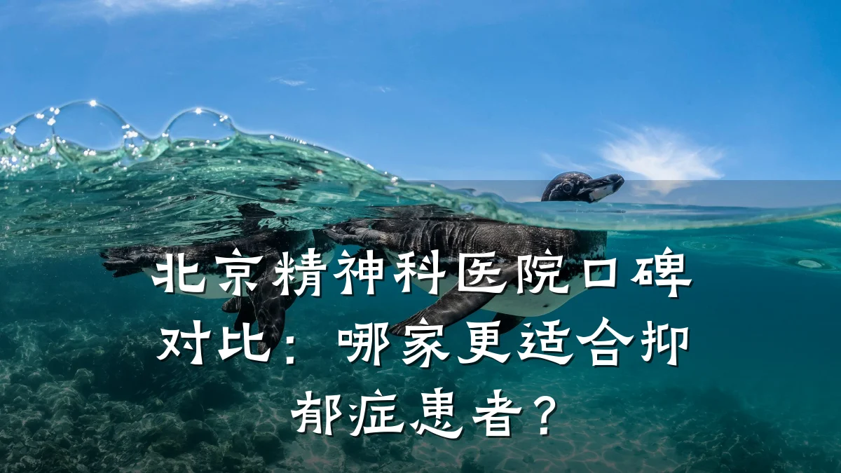 北京精神科医院口碑对比：哪家更适合抑郁症患者？