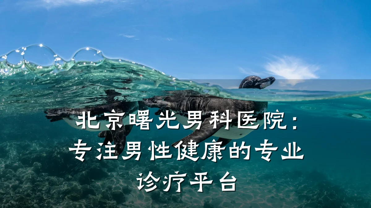 北京曙光男科医院：专注男性健康的专业诊疗平台