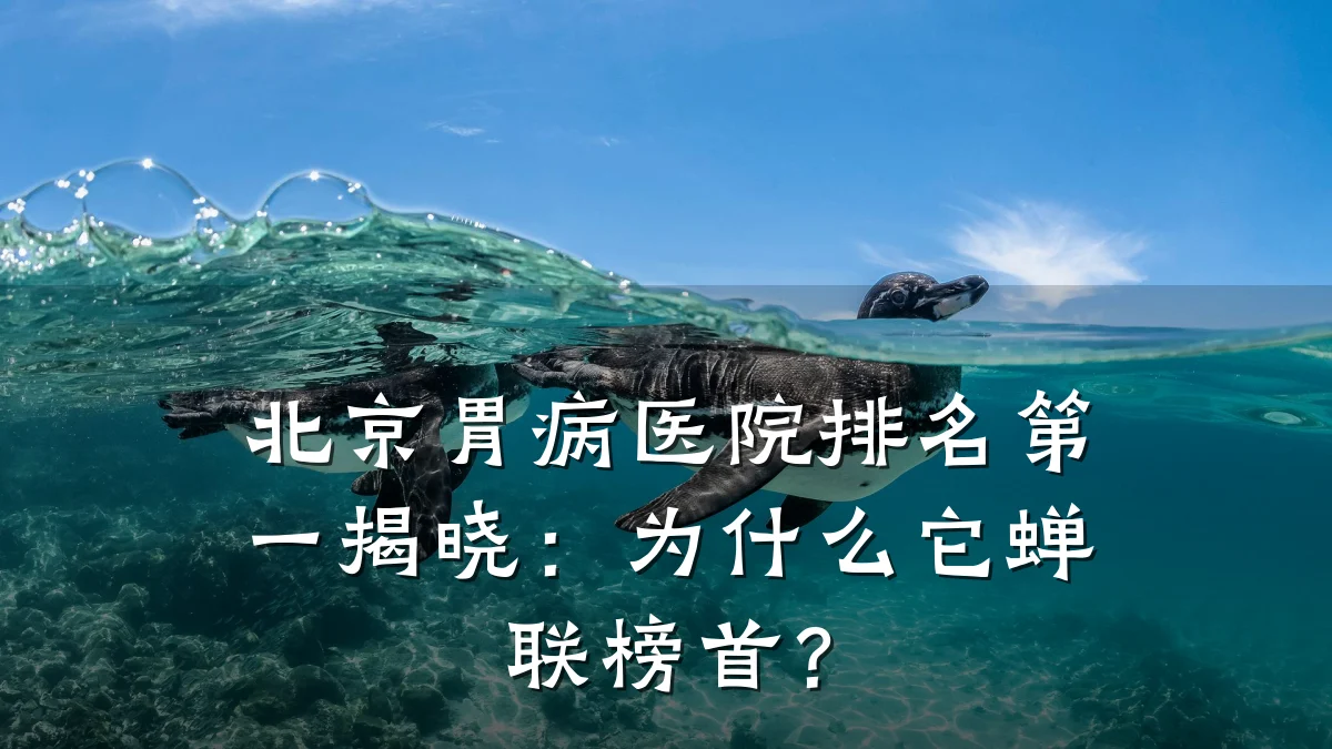 北京胃病医院排名第一揭晓:为什么它蝉联榜首?