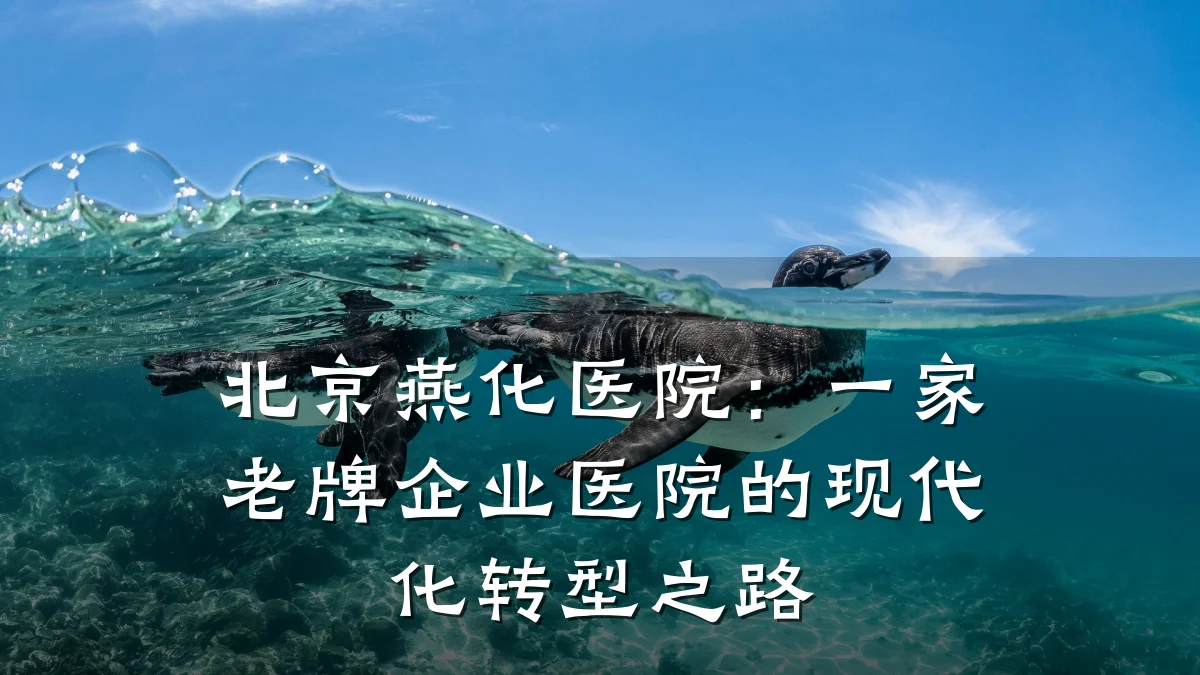 北京燕化医院：一家老牌企业医院的现代化转型之路