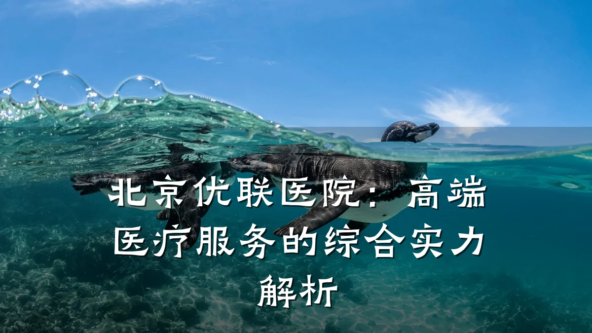 北京优联医院：高端医疗服务的综合实力解析