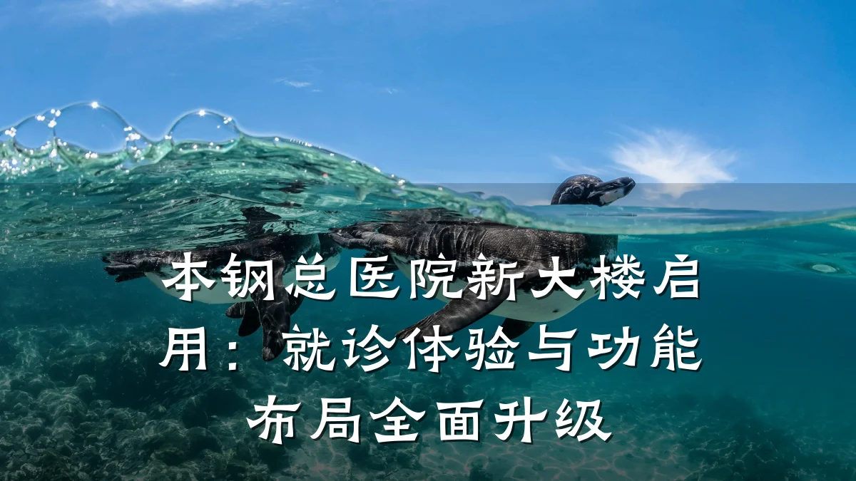 本钢总医院新大楼启用:就诊体验与功能布局全面升级