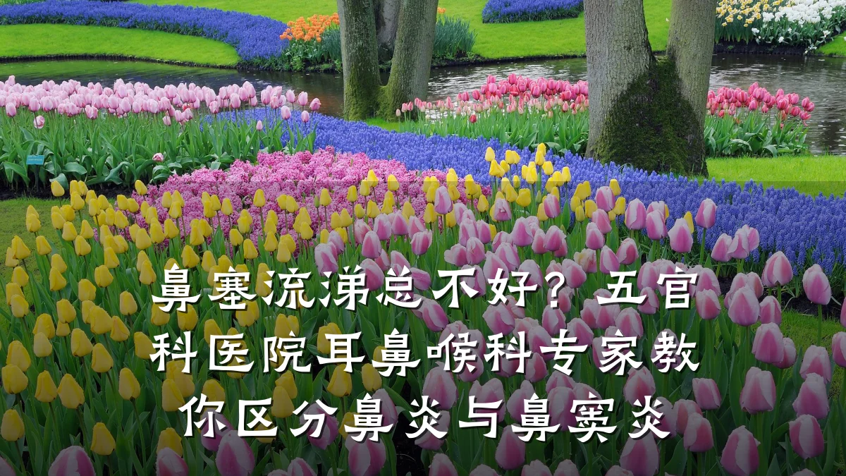 鼻塞流涕总不好?五官科医院耳鼻喉科专家教你区分鼻炎与鼻窦炎