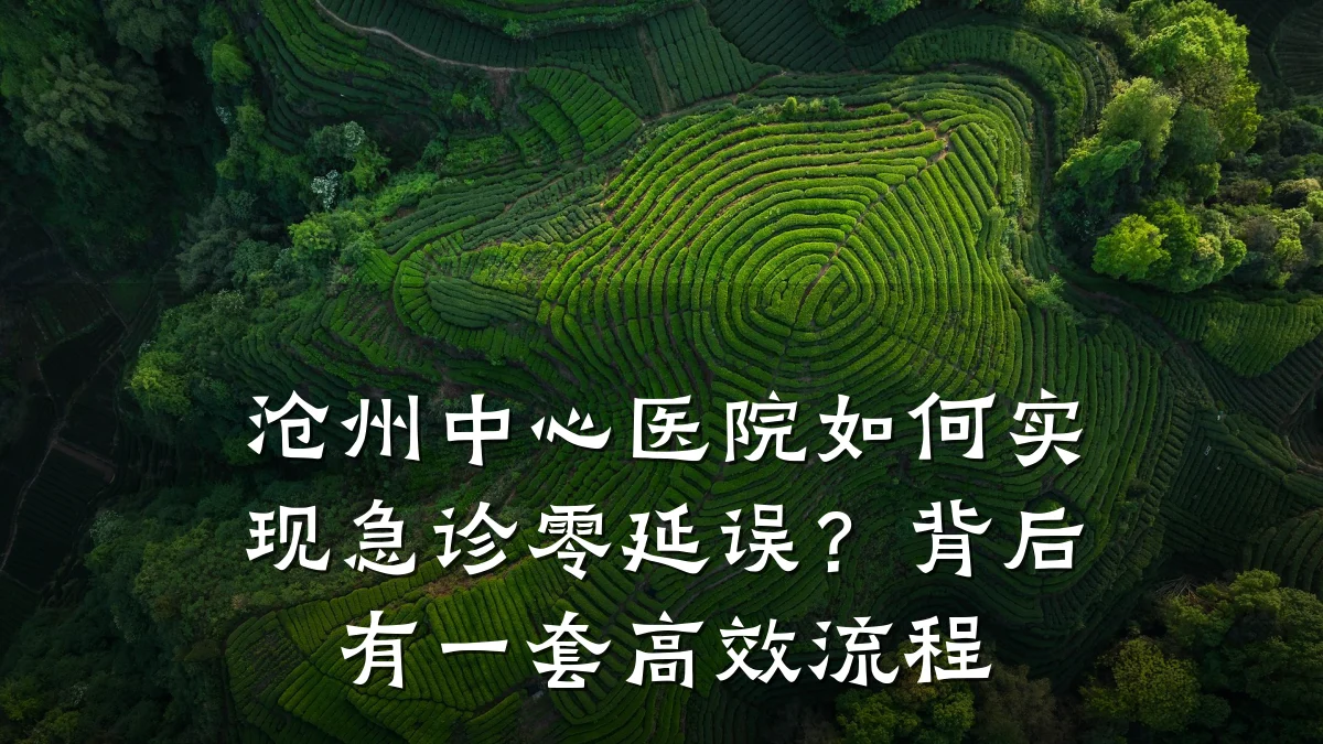 沧州中心医院如何实现急诊零延误？背后有一套高效流程
