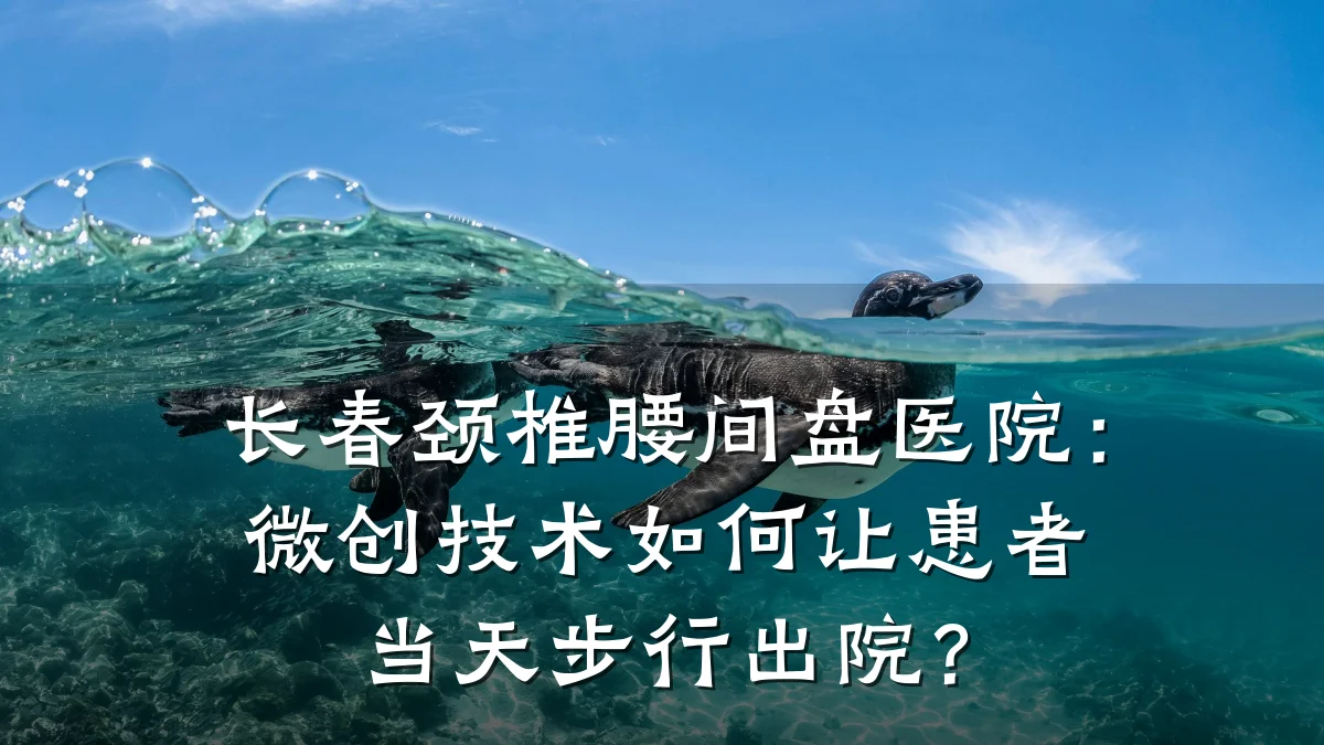 长春颈椎腰间盘医院:微创技术如何让患者当天步行出院?