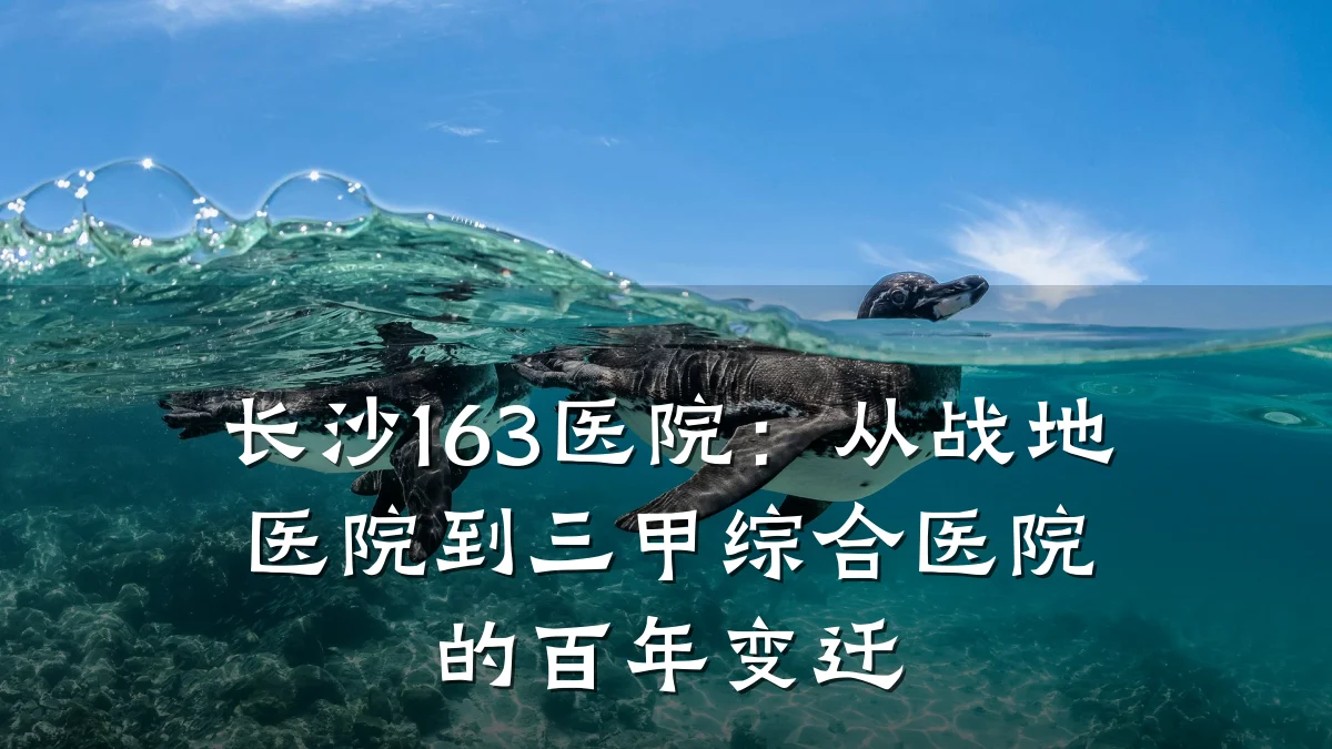 长沙163医院:从战地医院到三甲综合医院的百年变迁