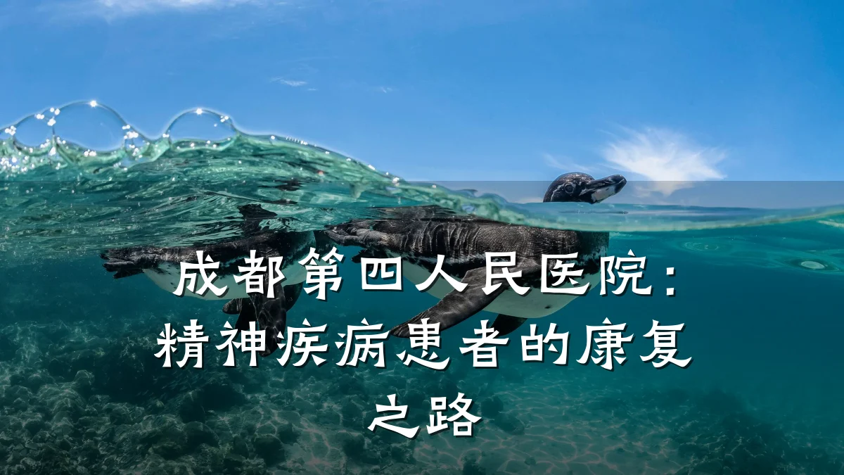 成都第四人民医院:精神疾病患者的康复之路