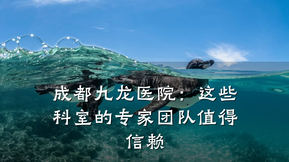 成都九龙医院：这些科室的专家团队值得信赖