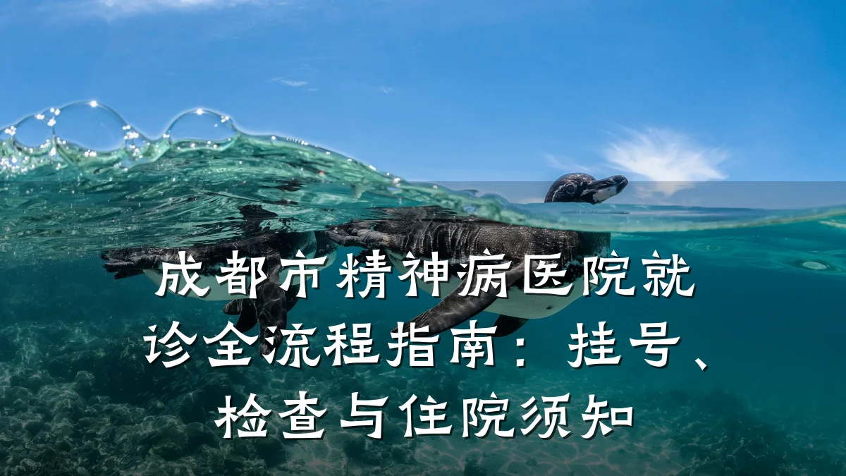 成都市精神病医院就诊全流程指南：挂号、检查与住院须知