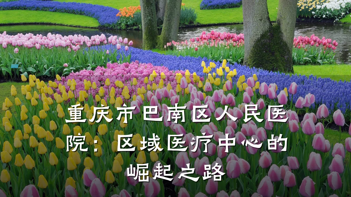 重庆市巴南区人民医院:区域医疗中心的崛起之路