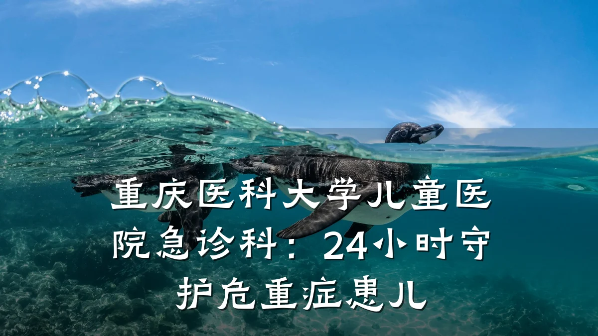 重庆医科大学儿童医院急诊科:24小时守护危重症患儿