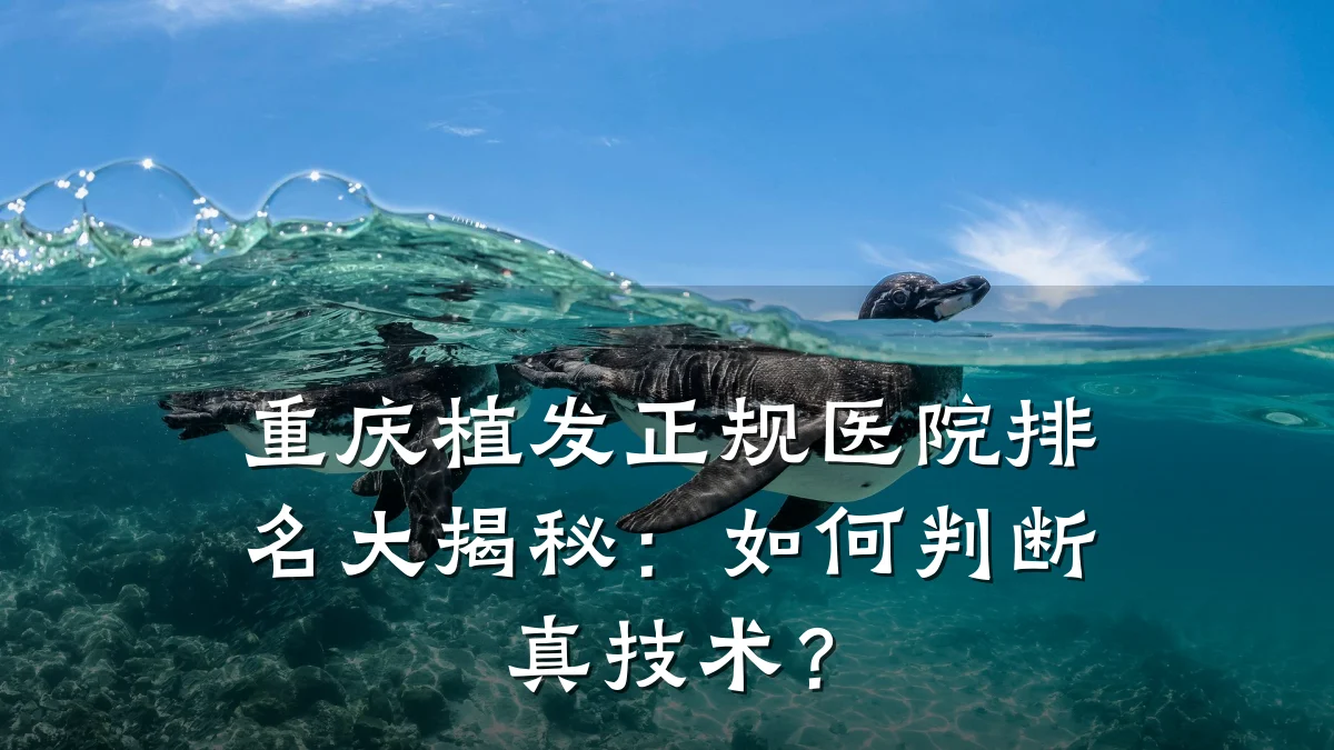 重庆植发正规医院排名大揭秘:如何判断真技术?