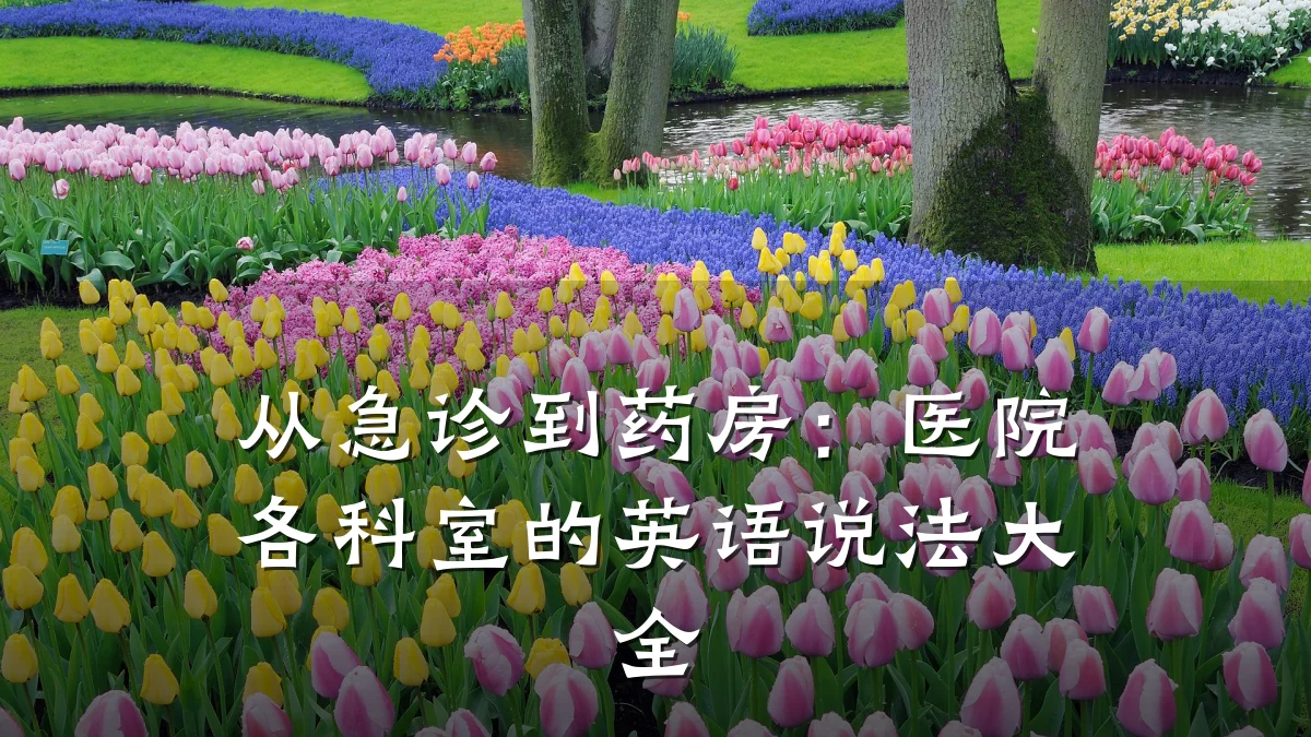 从急诊到药房:医院各科室的英语说法大全