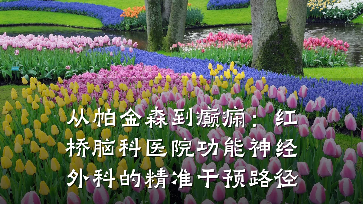从帕金森到癫痫：红桥脑科医院功能神经外科的精准干预路径