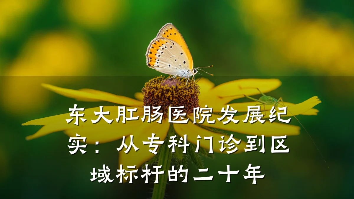 东大肛肠医院发展纪实：从专科门诊到区域标杆的二十年