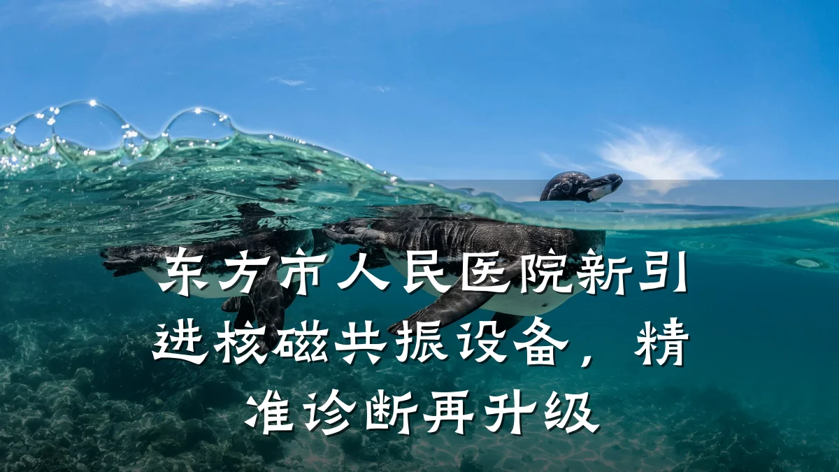 东方市人民医院新引进核磁共振设备,精准诊断再升级
