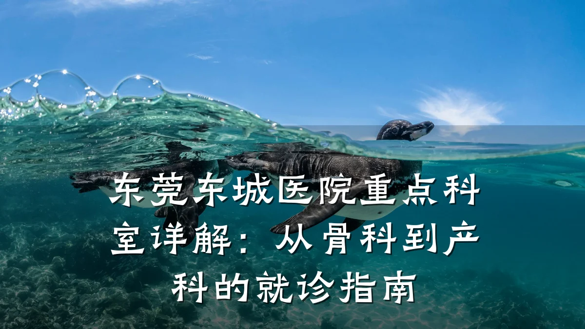 东莞东城医院重点科室详解:从骨科到产科的就诊指南
