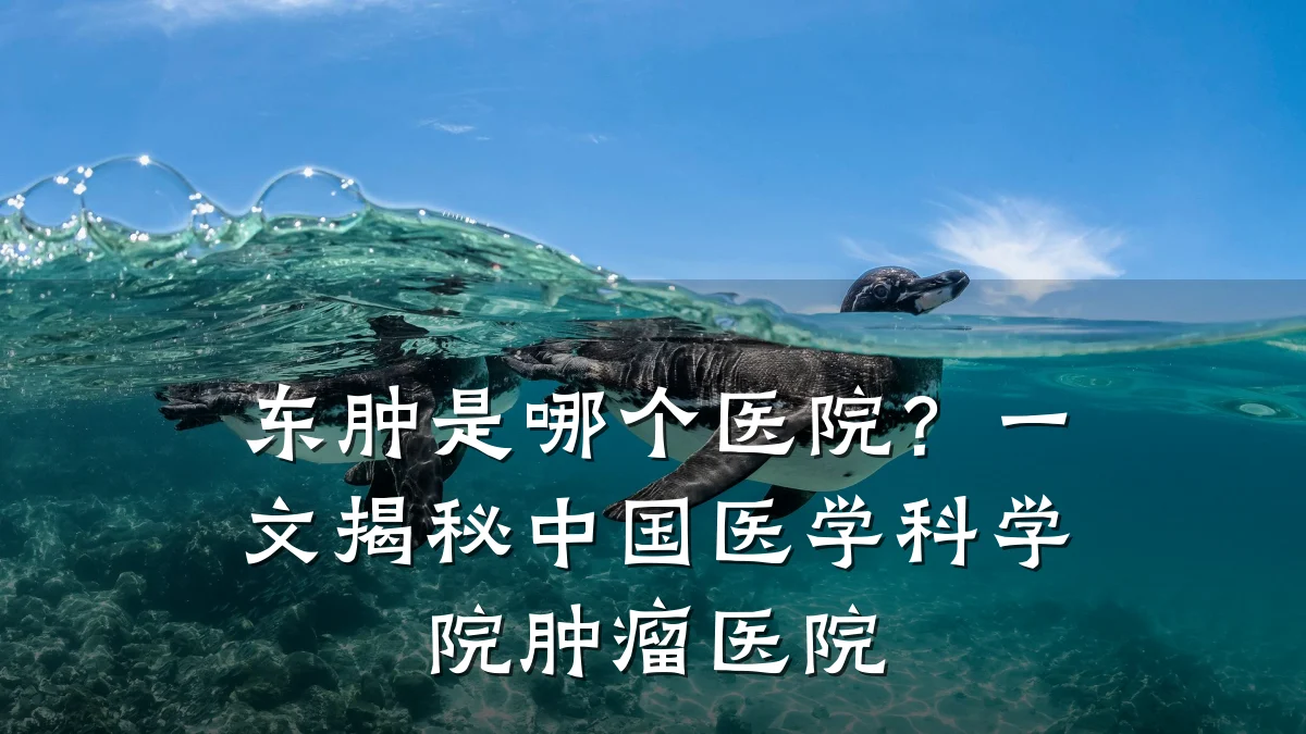 东肿是哪个医院?一文揭秘中国医学科学院肿瘤医院