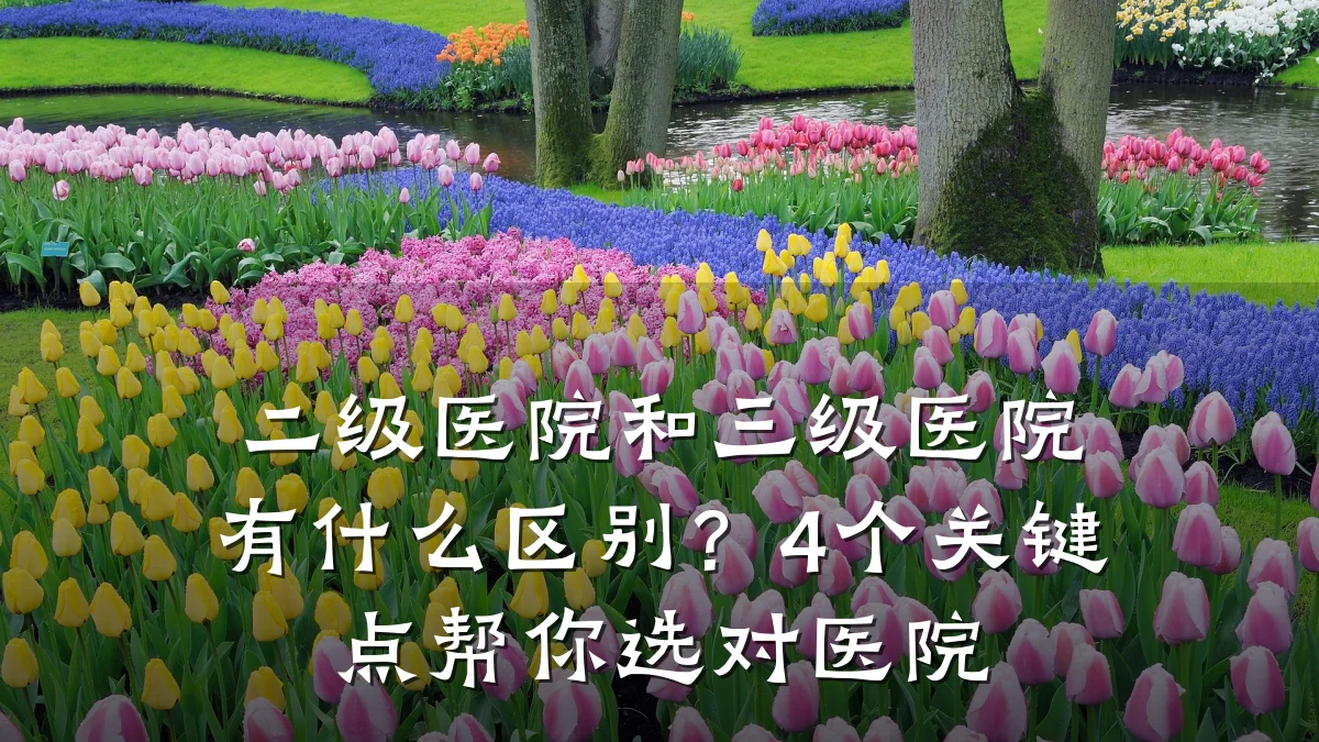 二级医院和三级医院有什么区别？4个关键点帮你选对医院