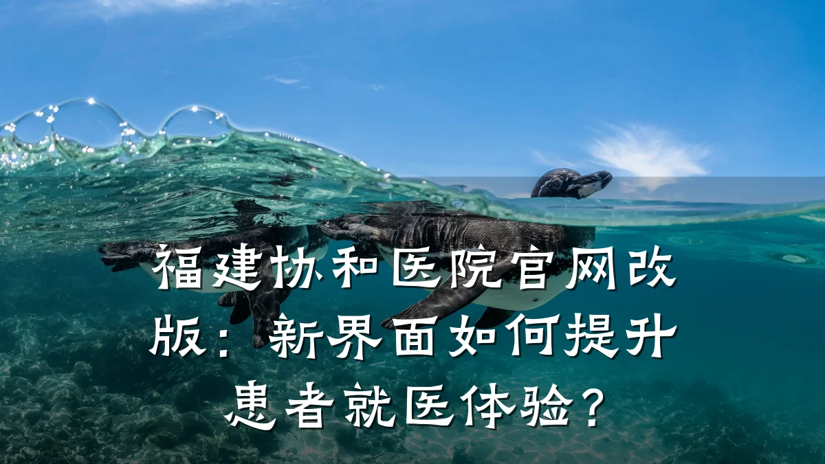 福建协和医院官网改版:新界面如何提升患者就医体验?