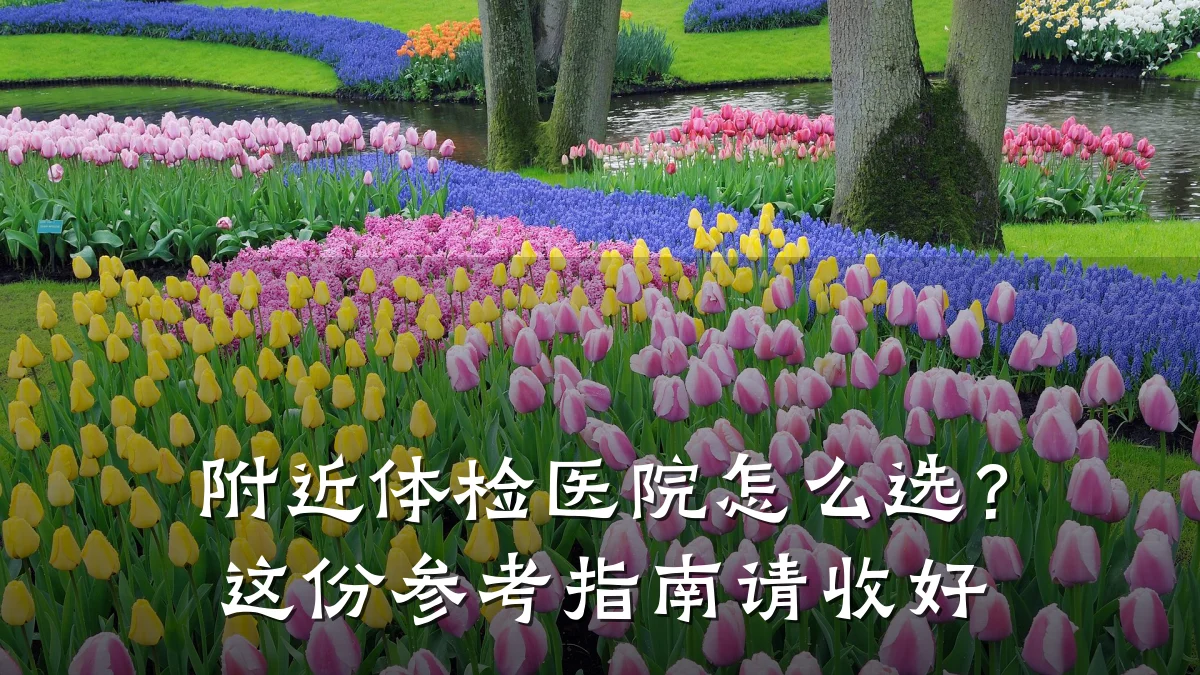 附近体检医院怎么选?这份参考指南请收好