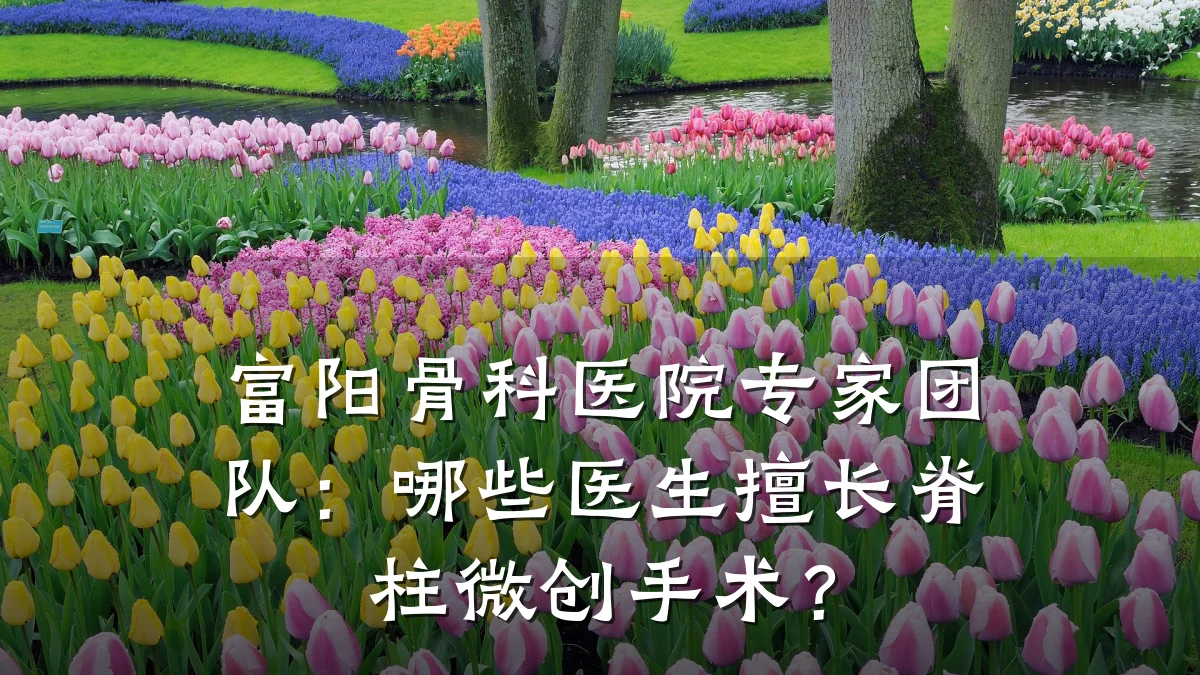 富阳骨科医院专家团队:哪些医生擅长脊柱微创手术?