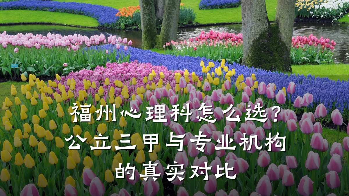 福州心理科怎么选?公立三甲与专业机构的真实对比