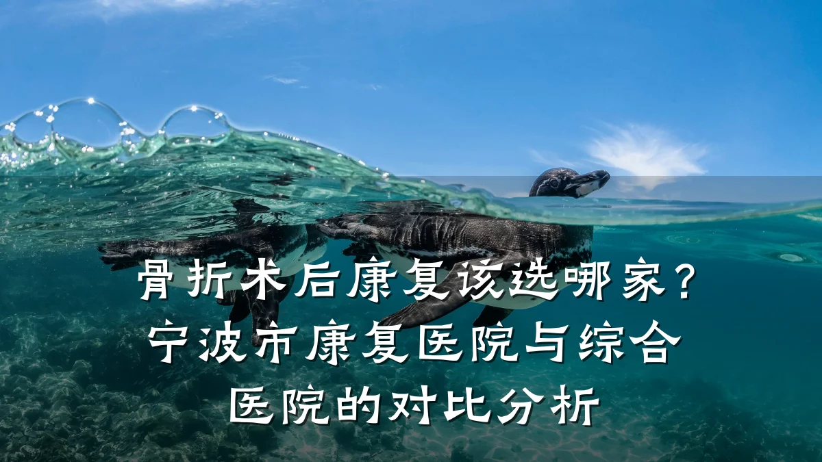 骨折术后康复该选哪家?宁波市康复医院与综合医院的对比分析