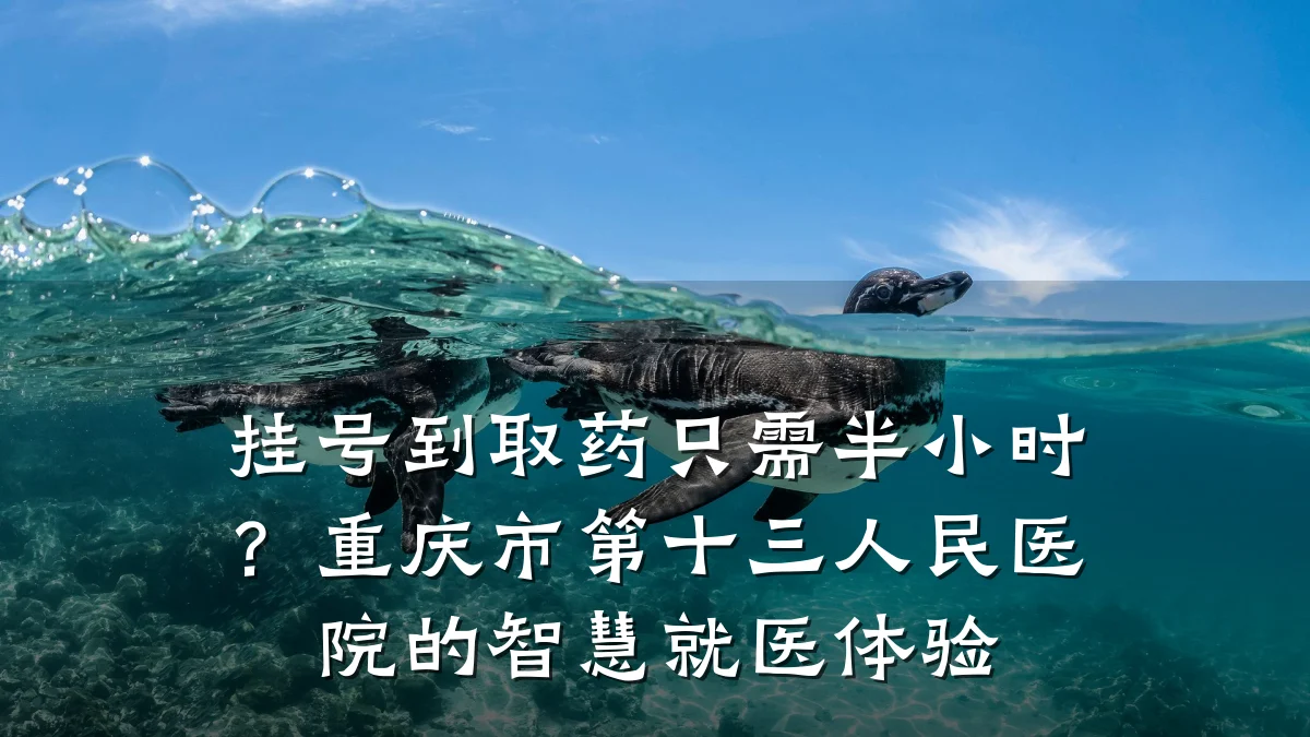 挂号到取药只需半小时?重庆市第十三人民医院的智慧就医体验
