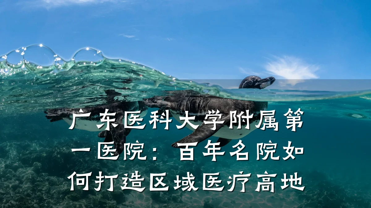 广东医科大学附属第一医院:百年名院如何打造区域医疗高地