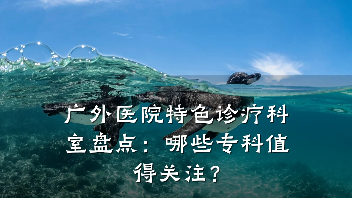 广外医院特色诊疗科室盘点:哪些专科值得关注?