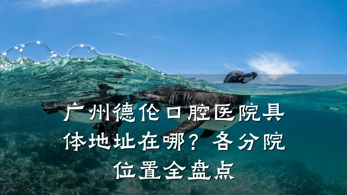 广州德伦口腔医院具体地址在哪?各分院位置全盘点