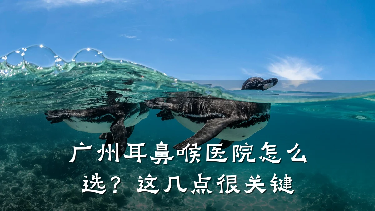 广州耳鼻喉医院怎么选?这几点很关键