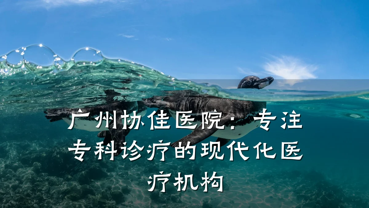 广州协佳医院:专注专科诊疗的现代化医疗机构