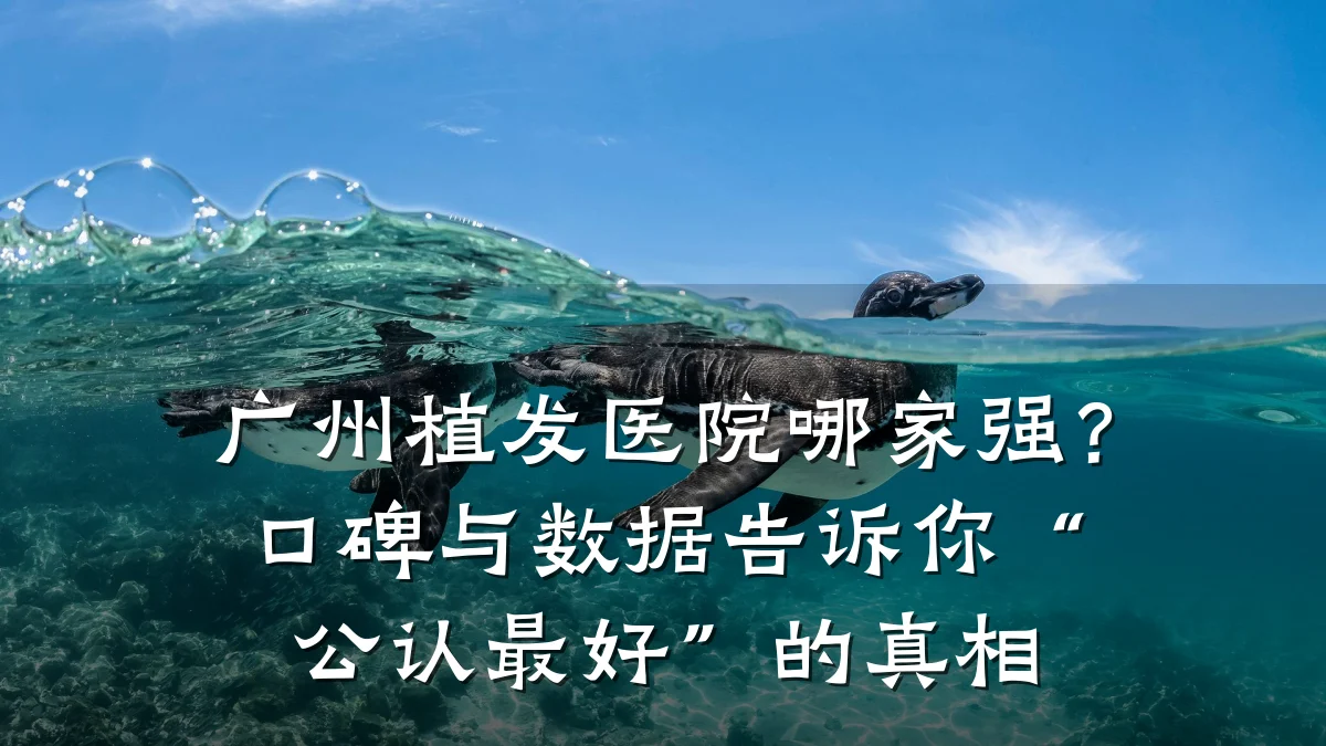 广州植发医院哪家强？口碑与数据告诉你“公认最好”的真相