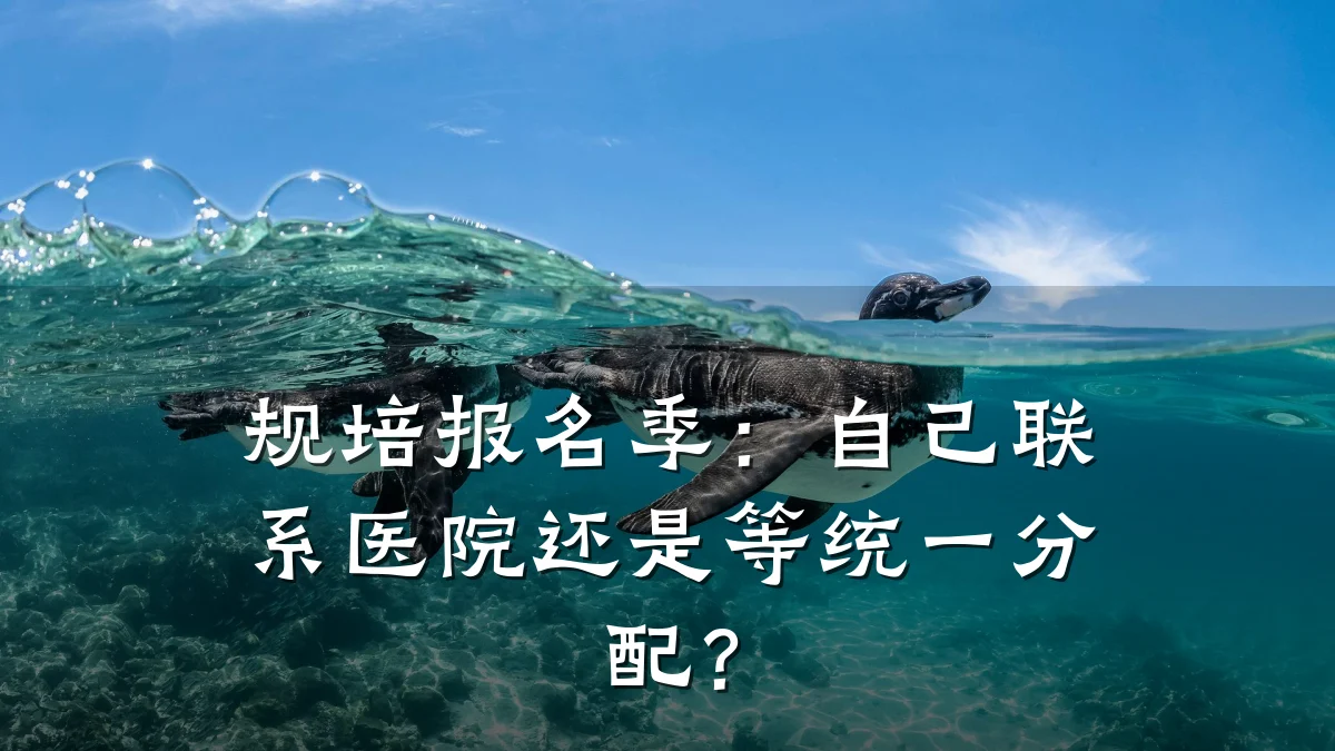 规培报名季:自己联系医院还是等统一分配?