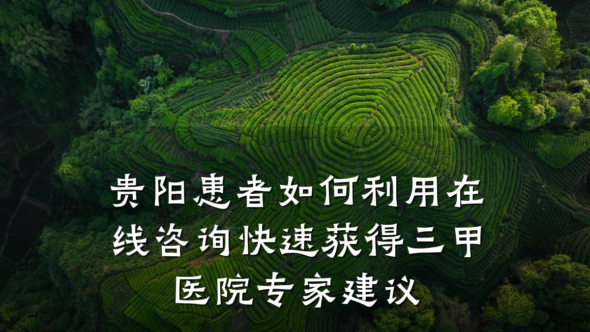 贵阳患者如何利用在线咨询快速获得三甲医院专家建议