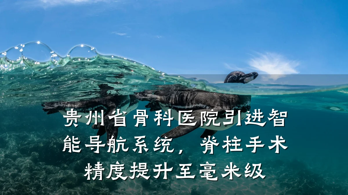 贵州省骨科医院引进智能导航系统,脊柱手术精度提升至毫米级
