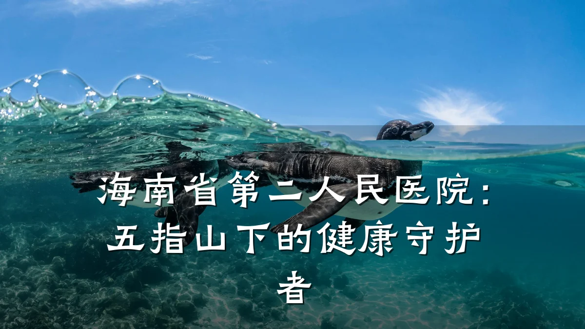海南省第二人民医院：五指山下的健康守护者
