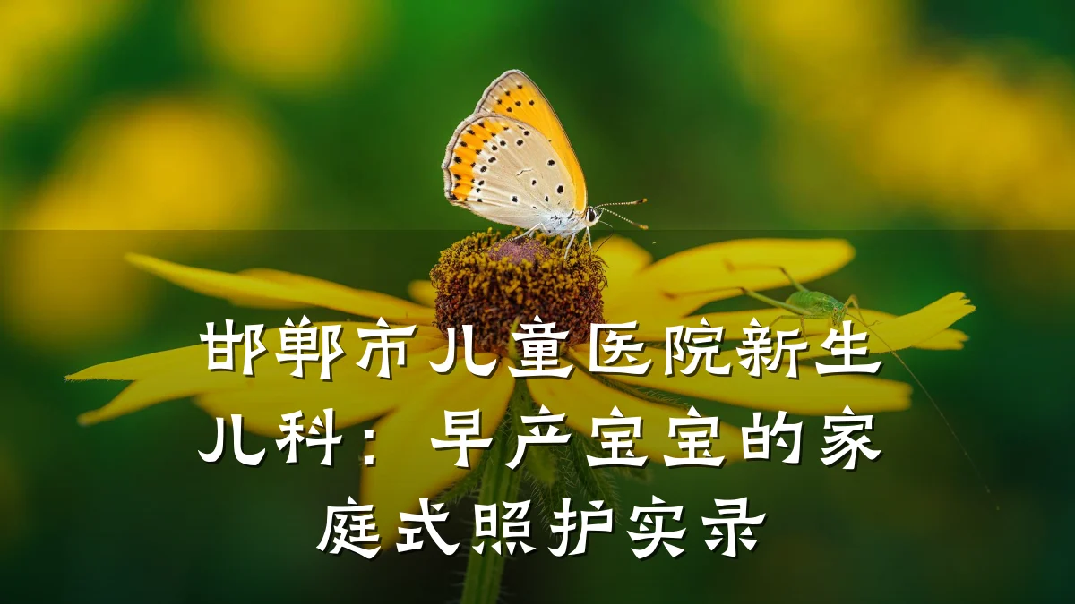 邯郸市儿童医院新生儿科:早产宝宝的家庭式照护实录