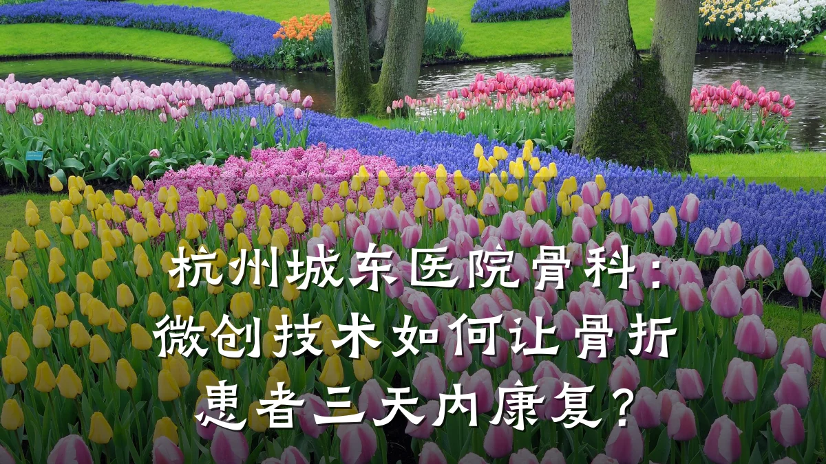杭州城东医院骨科:微创技术如何让骨折患者三天内康复?
