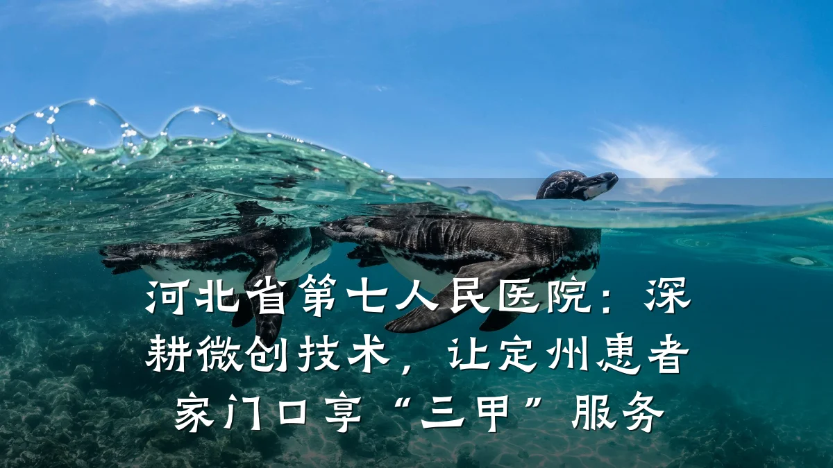 河北省第七人民医院:深耕微创技术,让定州患者家门口享“三甲”服务