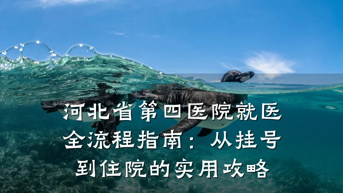 河北省第四医院就医全流程指南：从挂号到住院的实用攻略