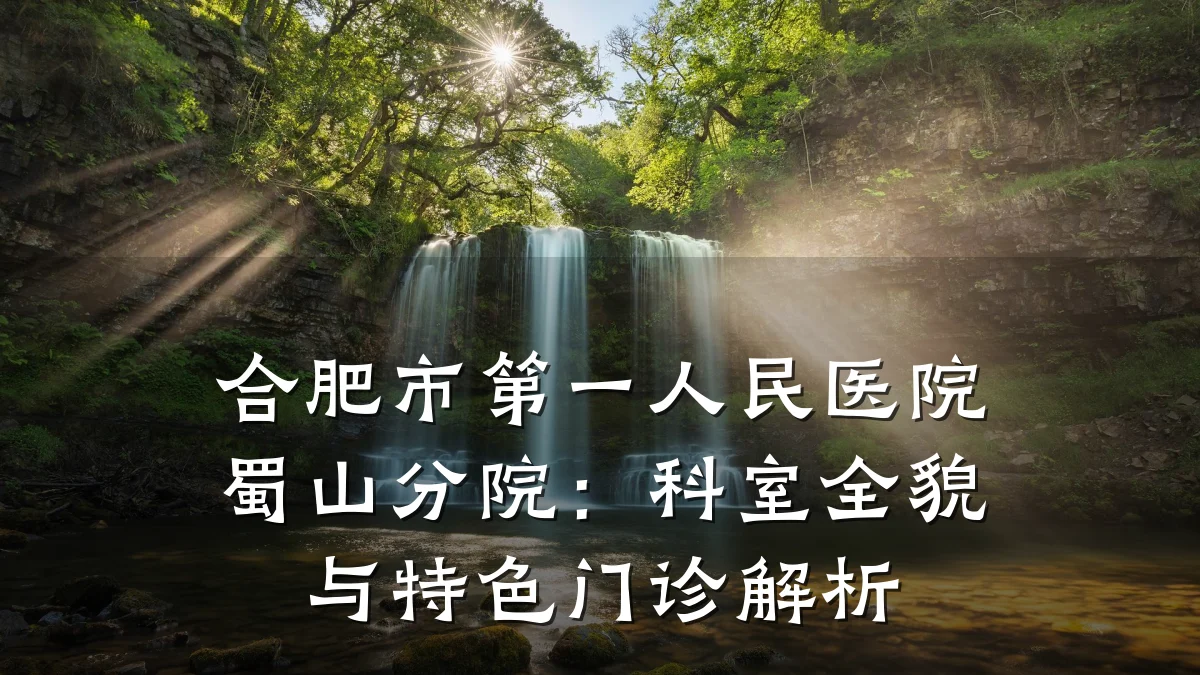 合肥市第一人民医院蜀山分院:科室全貌与特色门诊解析